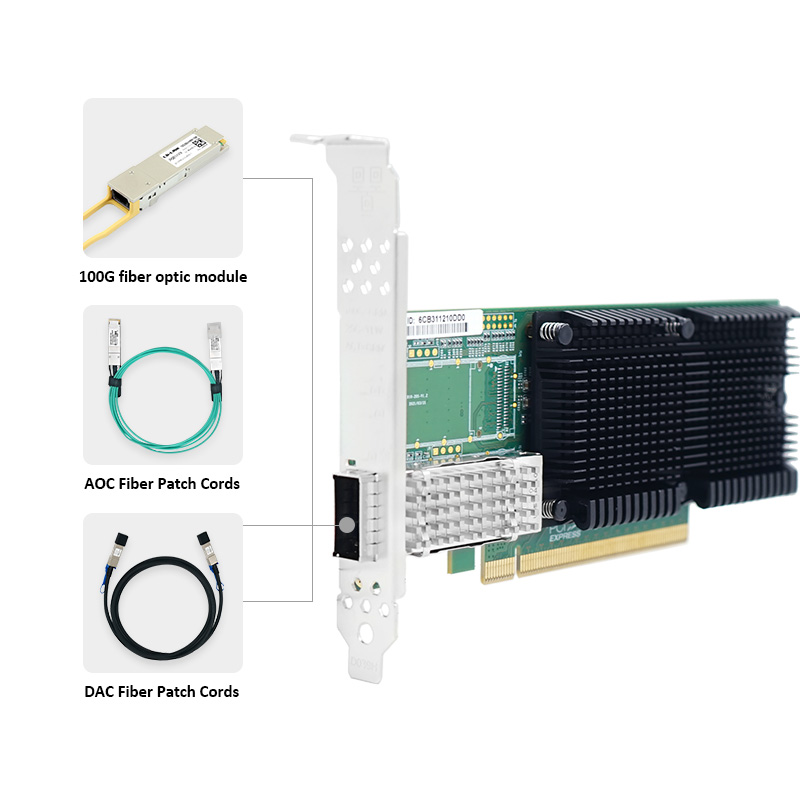 Scheda di rete LR-LINK 1019PF- - 100Gbe Qsfp28 Network Card recensione e prezzo